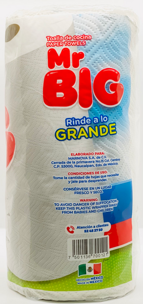 MR BIG PAPER TOWELS 12 ROLL PACK