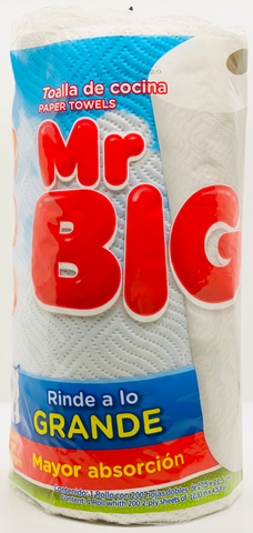 MR BIG PAPER TOWELS 12 ROLL PACK